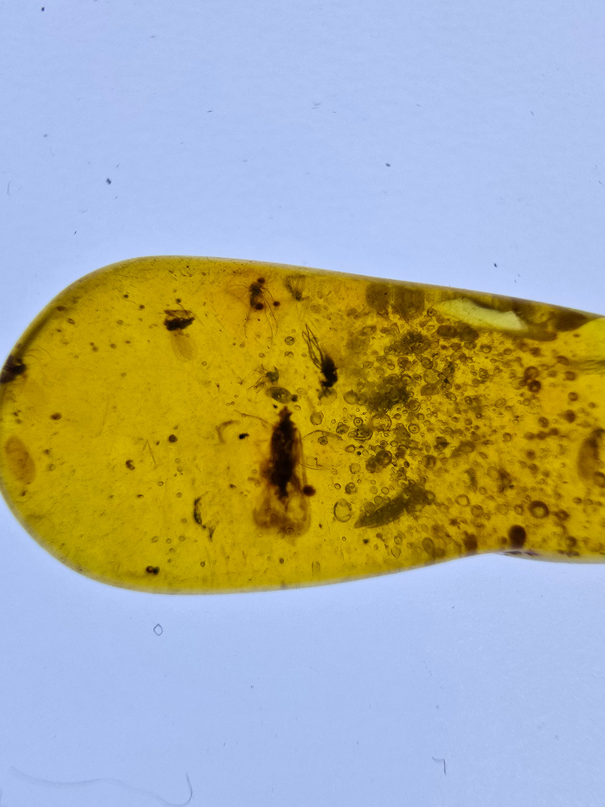 Wholesale Burmese Amber With Bugs Inclusions 61 pieces H6102302