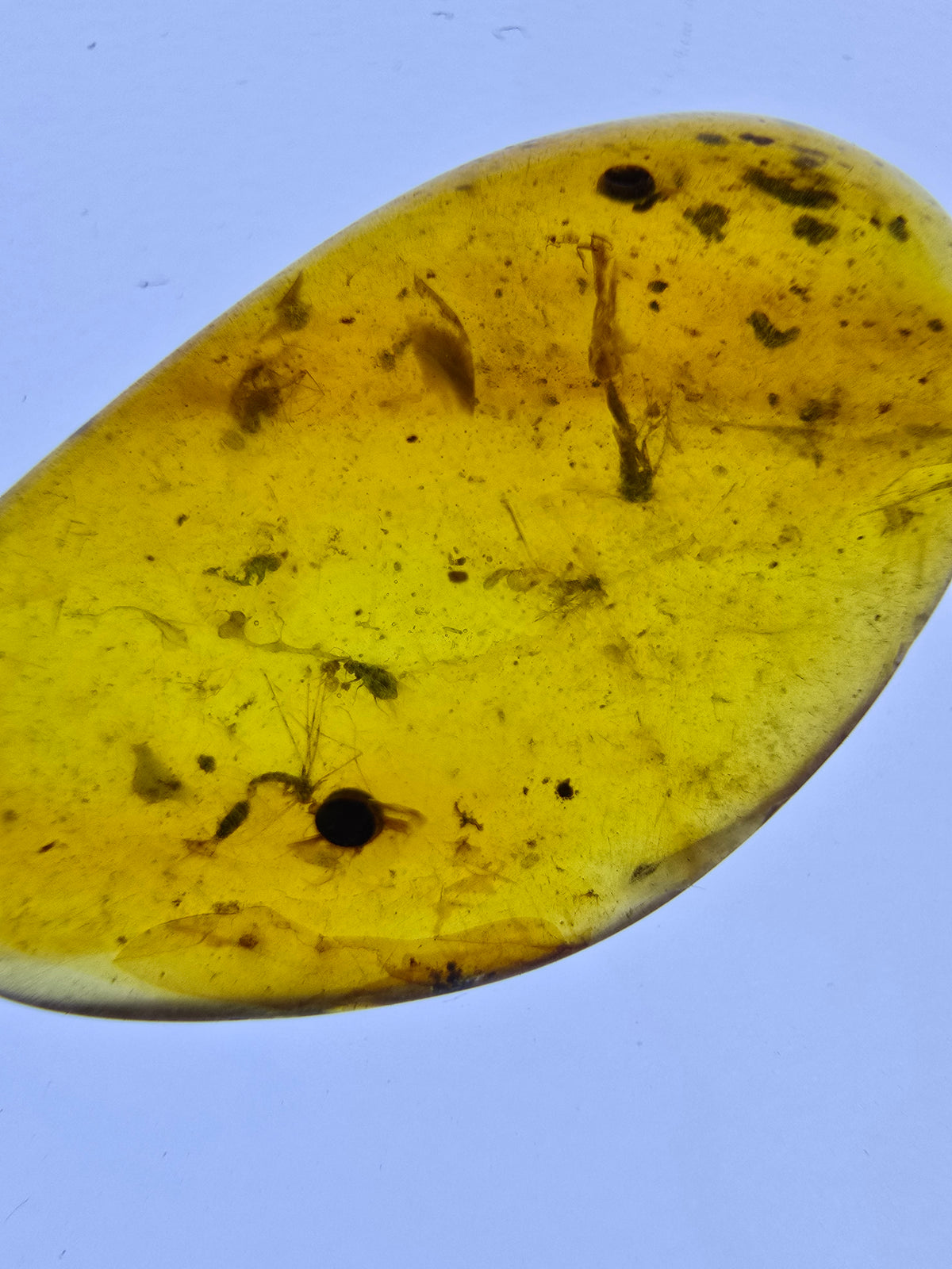 Wholesale Burmese Amber With Bugs Inclusions 61 pieces H6102302