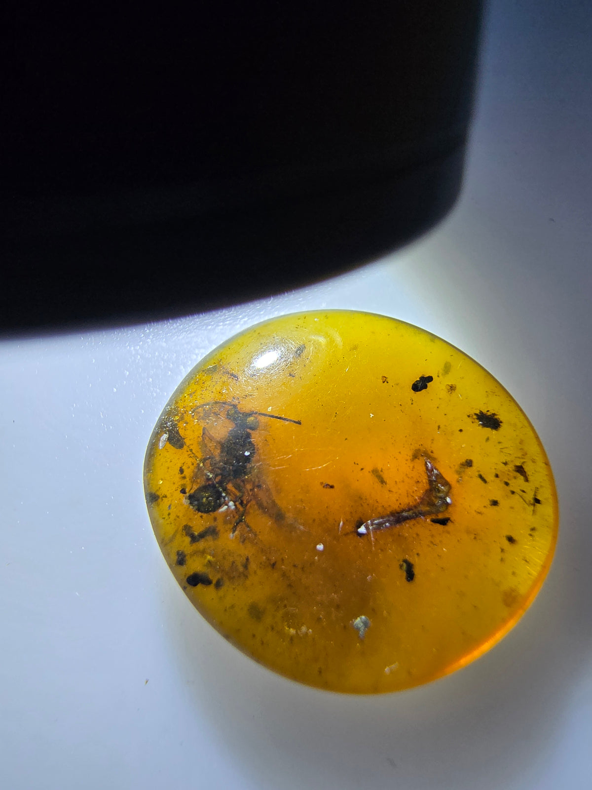 Wholesale Burmese Amber With Bugs Inclusions 61 pieces H6102302