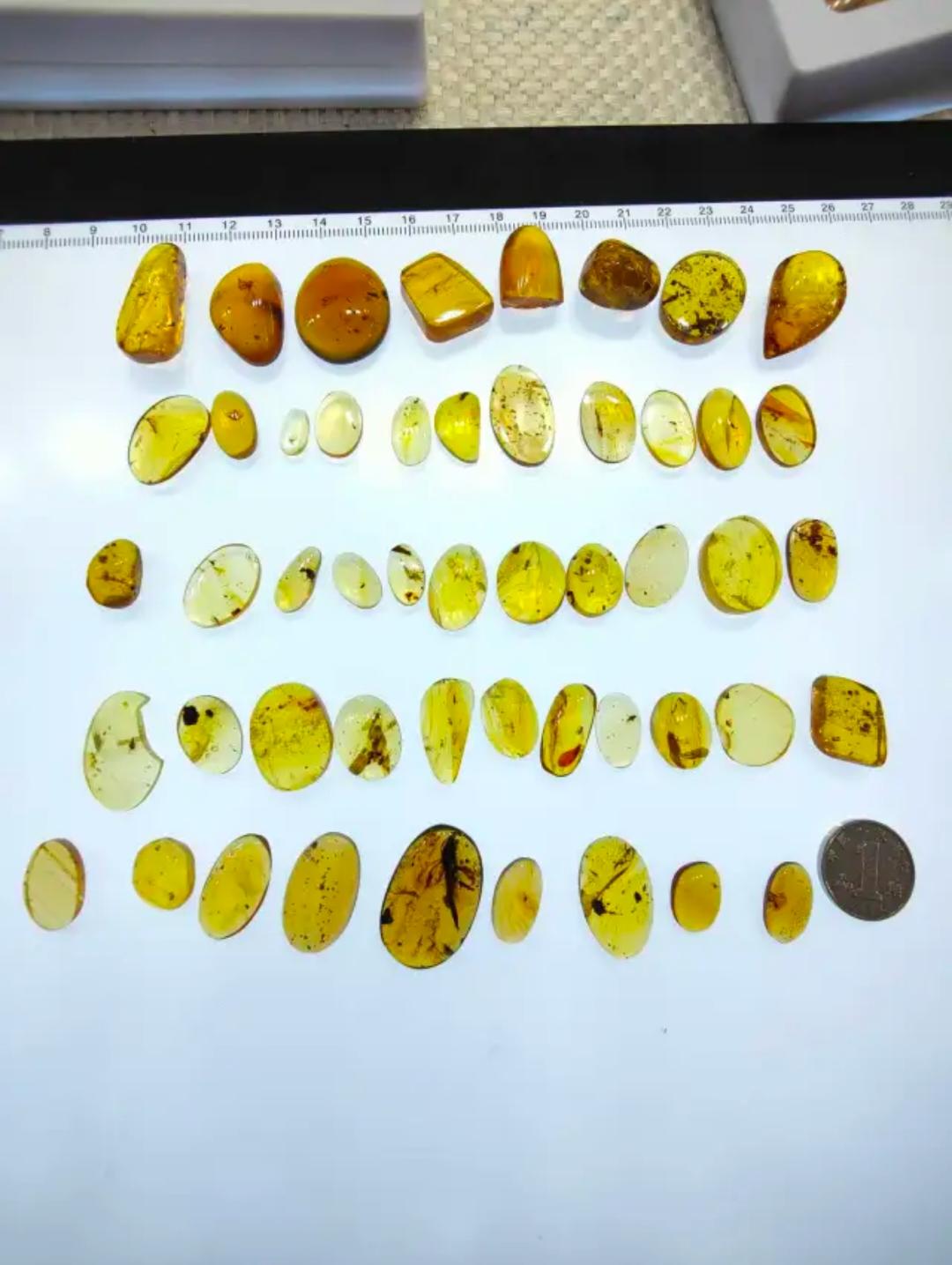 Burmese amber with inclusion of leg of insects(different bugs wholesale lot)