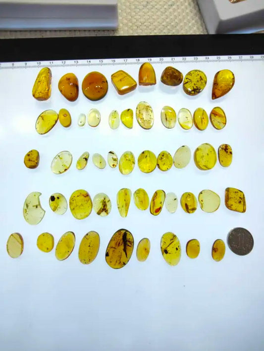 Burmese amber with inclusion of leg of insects(different bugs wholesale lot)