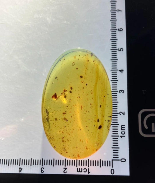 Burmese amber with inclusion of prehistoric unknow beetle